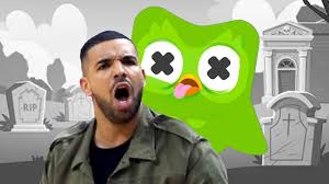 Social Media Campaigns